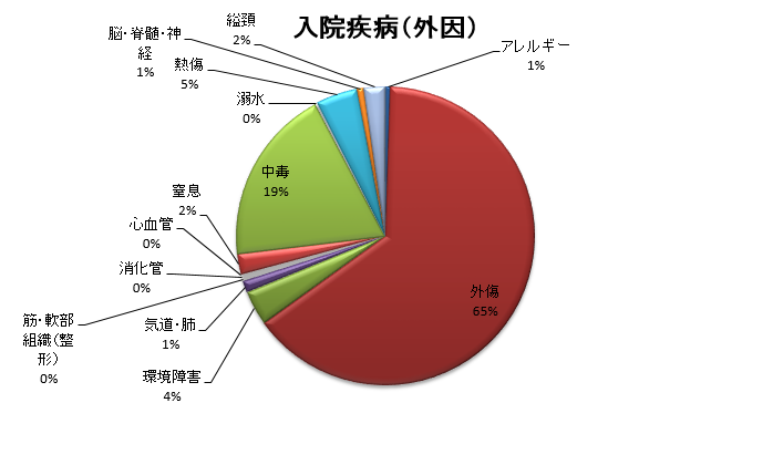 Ｈ26年度（2014/04/01～2015/03/31）入院疾病（外因）