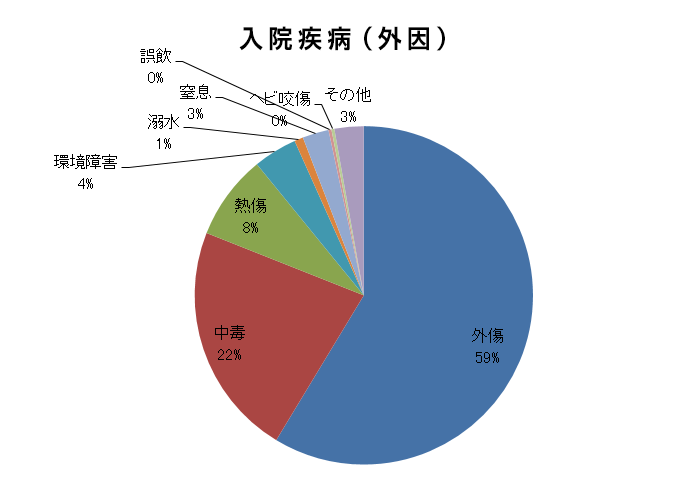 Ｈ28年度（2016/04/01～2017/03/31）入院疾病（外因）