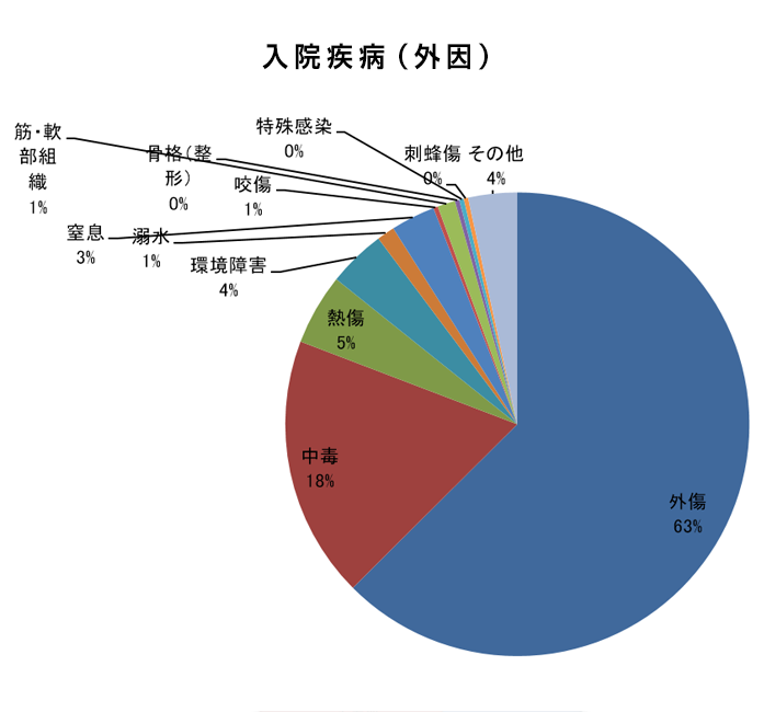 Ｈ30年度（2018/04/01～2019/03/31）入院疾病（外因）