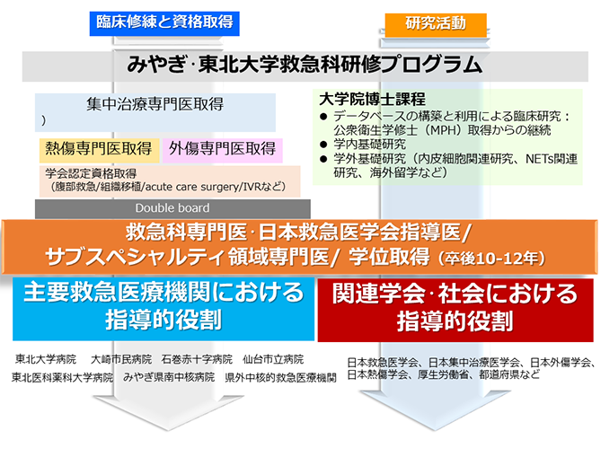 みやぎ･東北大学救急科研修プログラム（3年間）